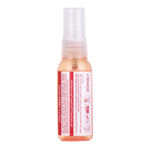 خوشبوکننده دهان با طعم دارچین و نعناع لایف گارد - Image 5